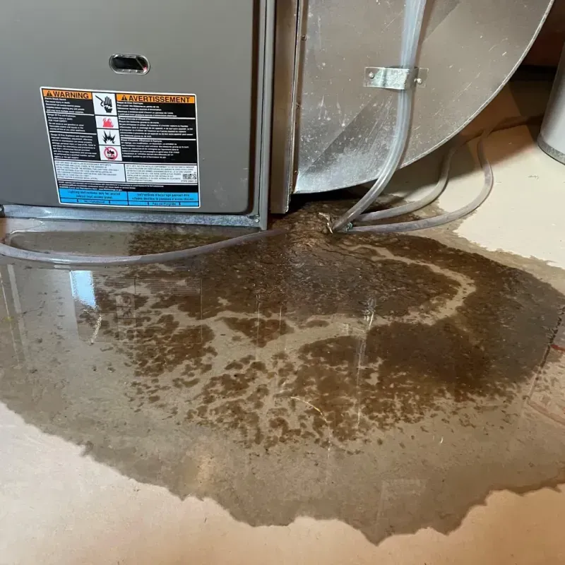 Appliance Leak Cleanup in New Cumberland, WV